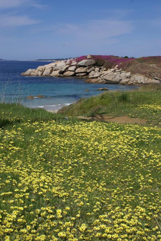 Hotel Pipo Sanxenxo Eksteriør bilde